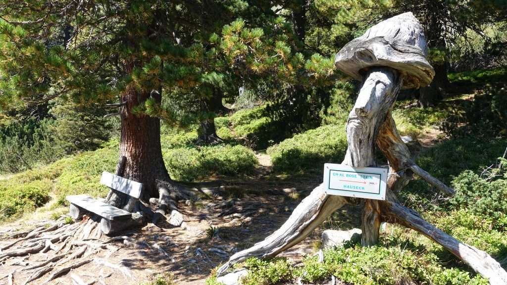 Wanderweg beim Scheiblsee